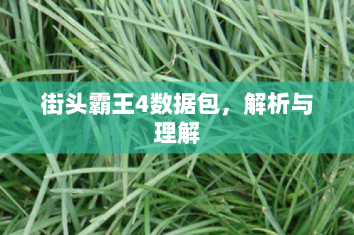 街头霸王4数据包图片