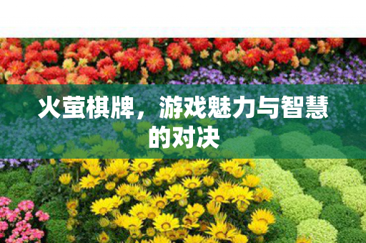 游戏魅力与智慧的对决图片