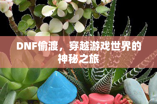 穿越游戏世界的神秘之旅图片