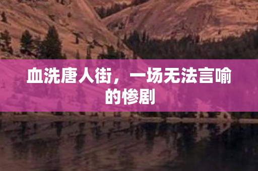 一场无法言喻的惨剧图片