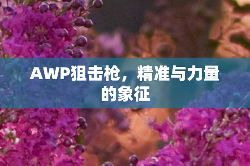 精准与力量的象征图片