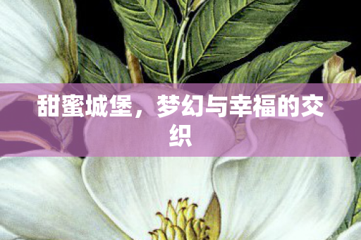 梦幻与幸福的交织图片