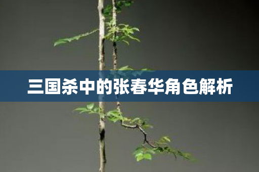 三国杀中的张春华角色解析图片