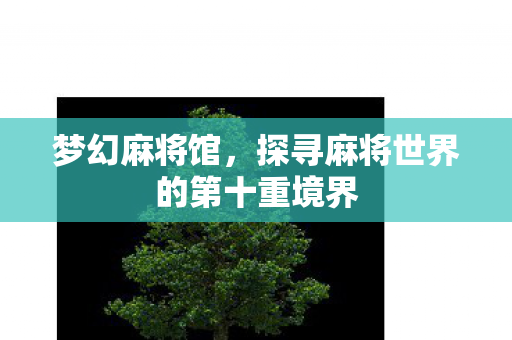 探寻麻将世界的第十重境界图片