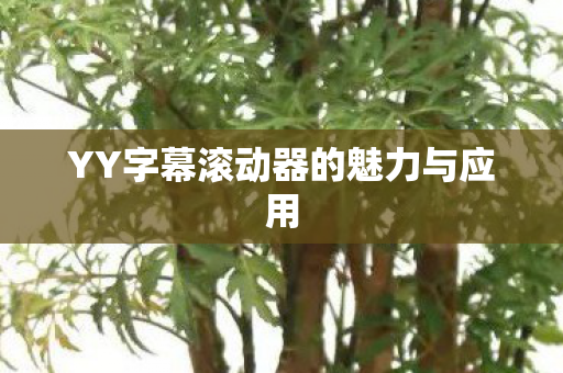 YY字幕滚动器的魅力与应用图片