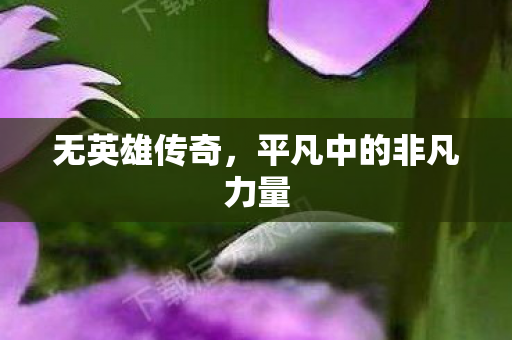 平凡中的非凡力量图片