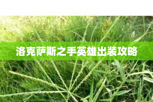 洛克萨斯之手英雄出装攻略图片