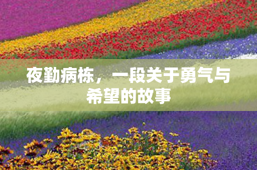 一段关于勇气与希望的故事图片