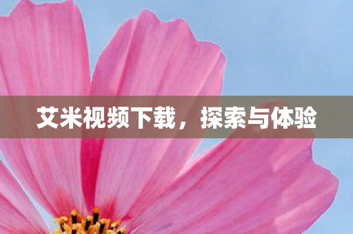 艾米视频下载图片