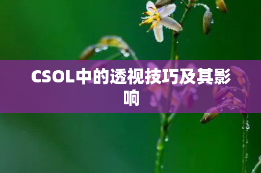 CSOL中的透视技巧及其影响图片