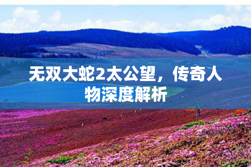 无双大蛇2太公望图片