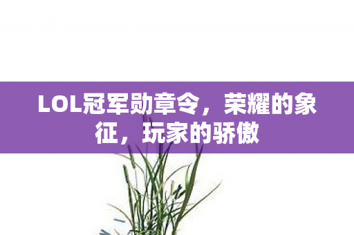 LOL冠军勋章令图片