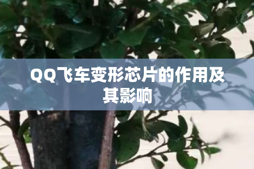 QQ飞车变形芯片的作用及其影响图片
