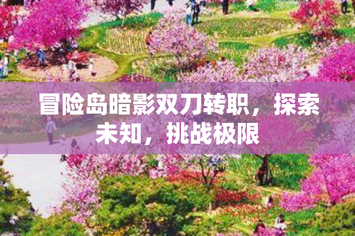 冒险岛暗影双刀转职图片