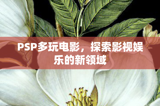 探索影视娱乐的新领域图片