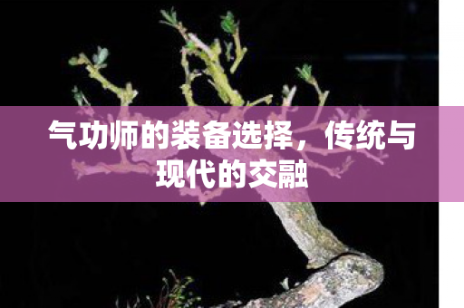 气功师的装备选择图片