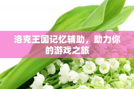 洛克王国记忆辅助图片