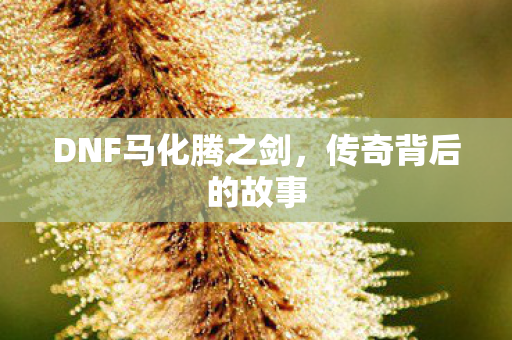 DNF马化腾之剑图片