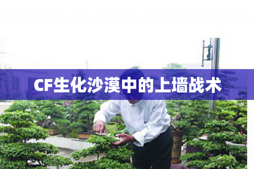 CF生化沙漠中的上墙战术图片