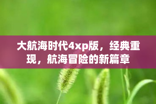 大航海时代4xp版图片