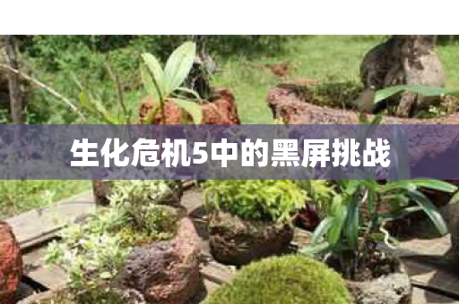生化危机5中的黑屏挑战图片