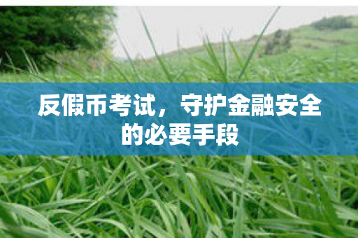守护金融安全的必要手段图片
