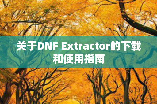 关于DNF Extractor的下载和使用指南图片