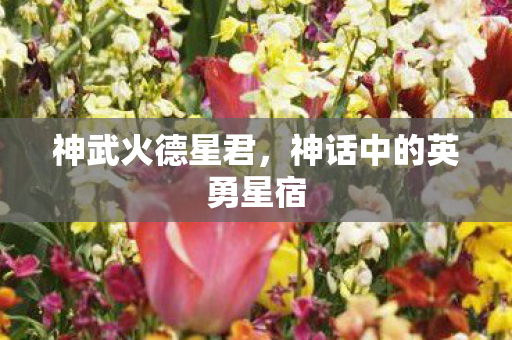 神话中的英勇星宿图片