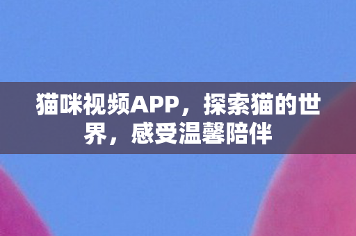 猫咪视频APP图片