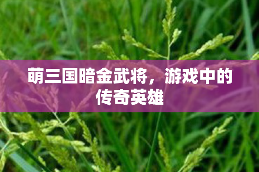 游戏中的传奇英雄图片
