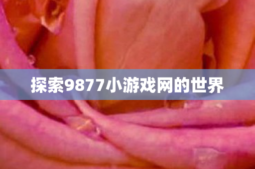 探索9877小游戏网的世界图片