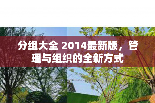 分组大全 2014最新版图片