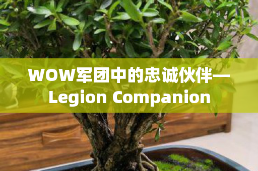 Legion Companion图片