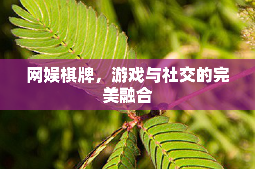 游戏与社交的完美融合图片