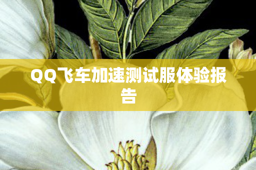 QQ飞车加速测试服体验报告图片