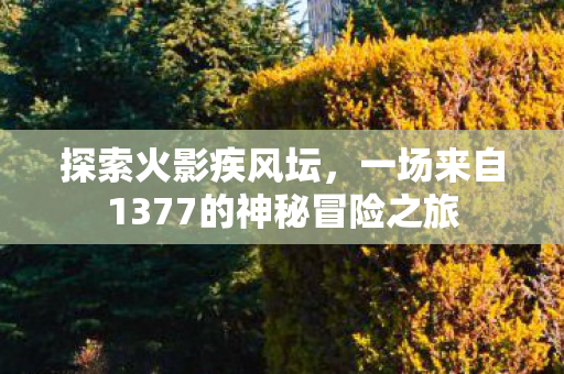 一场来自1377的神秘冒险之旅图片