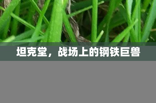 战场上的钢铁巨兽图片