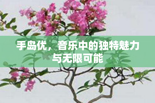 音乐中的独特魅力与无限可能图片