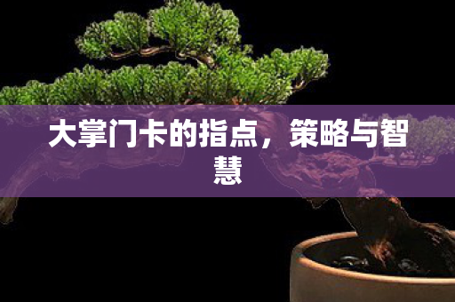 大掌门卡的指点图片