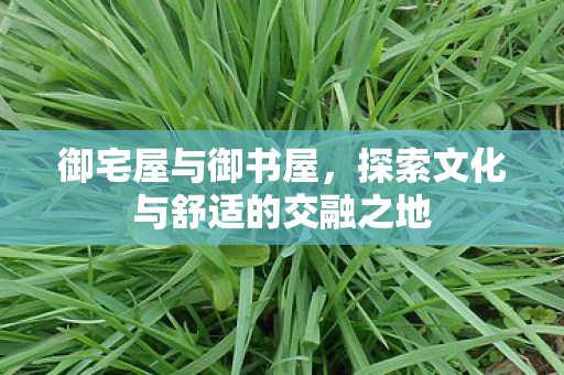 探索文化与舒适的交融之地图片