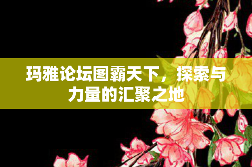 探索与力量的汇聚之地图片