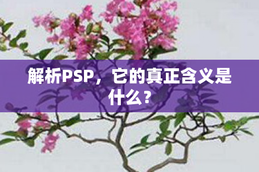 它的真正含义是什么图片