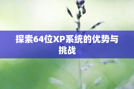 探索64位XP系统的优势与挑战图片