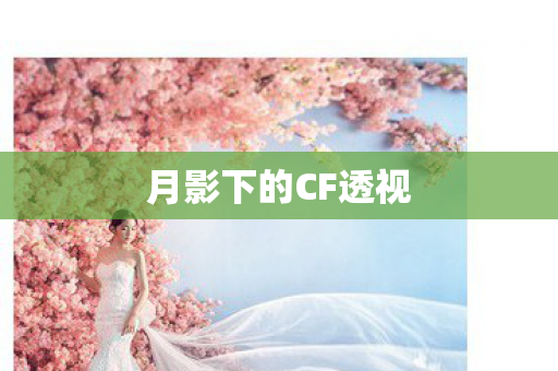 月影下的CF透视图片