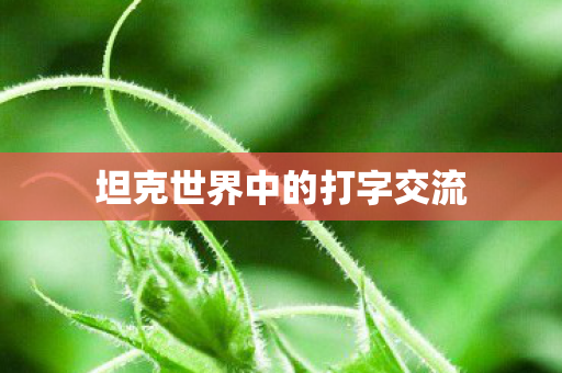 坦克世界中的打字交流图片