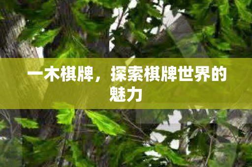 探索棋牌世界的魅力图片