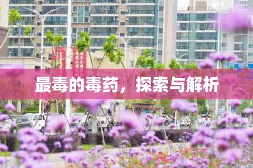 最毒的毒药图片