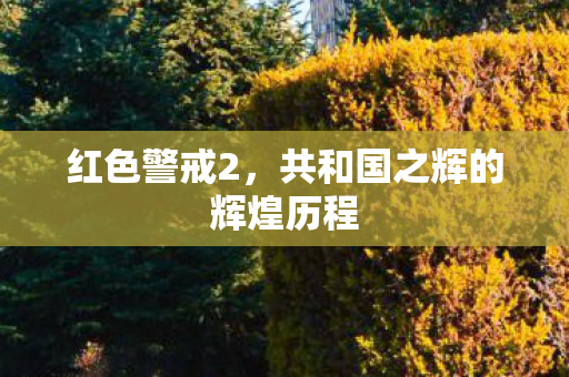 共和国之辉的辉煌历程图片
