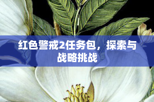 红色警戒2任务包图片
