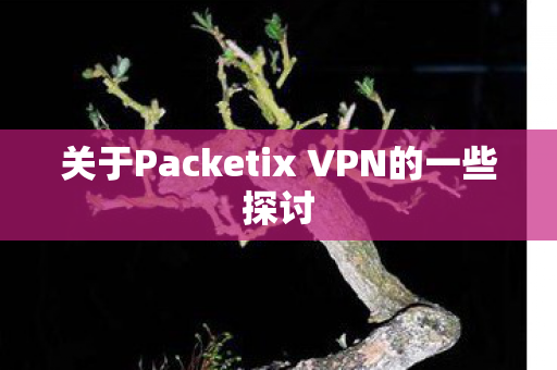 关于Packetix VPN的一些探讨图片